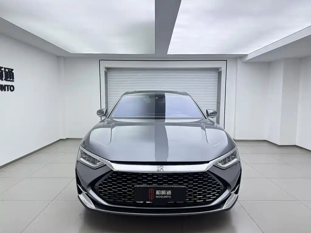 Han 2020 DM AWD Performance Edition Luxury
