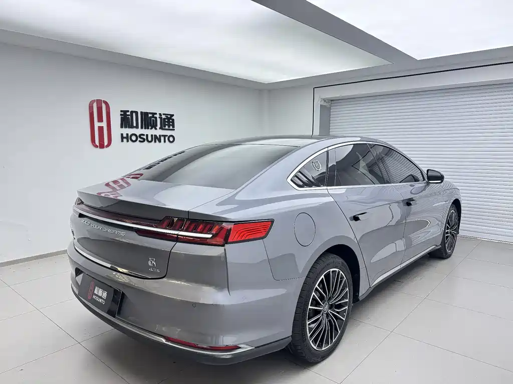 Han 2020 DM AWD Performance Edition Luxury