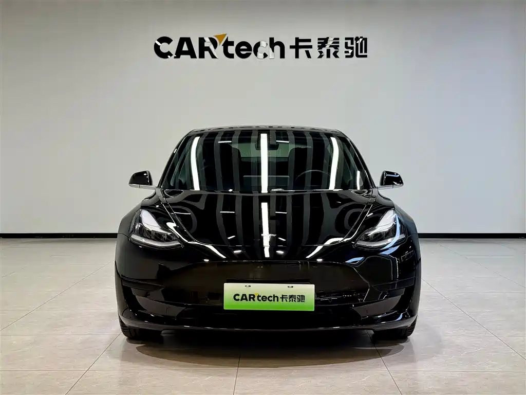 Model 3 2020 Standard Range Plus RWD