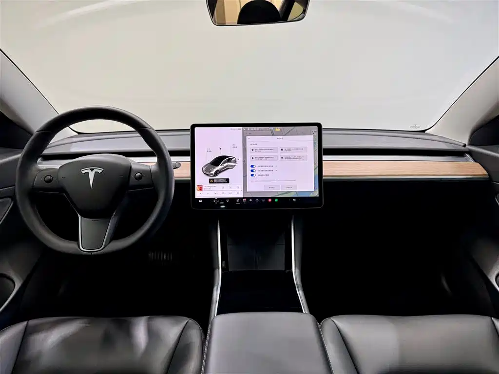 Model 3 2020 Standard Range Plus RWD