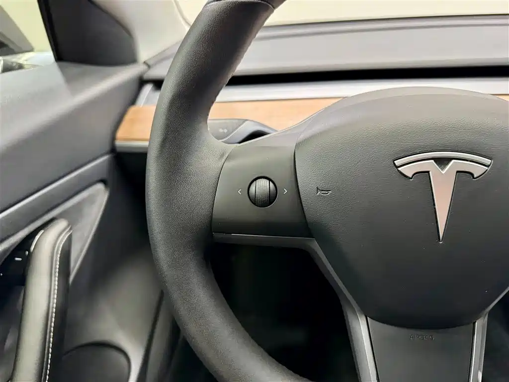 Model 3 2020 Standard Range Plus RWD