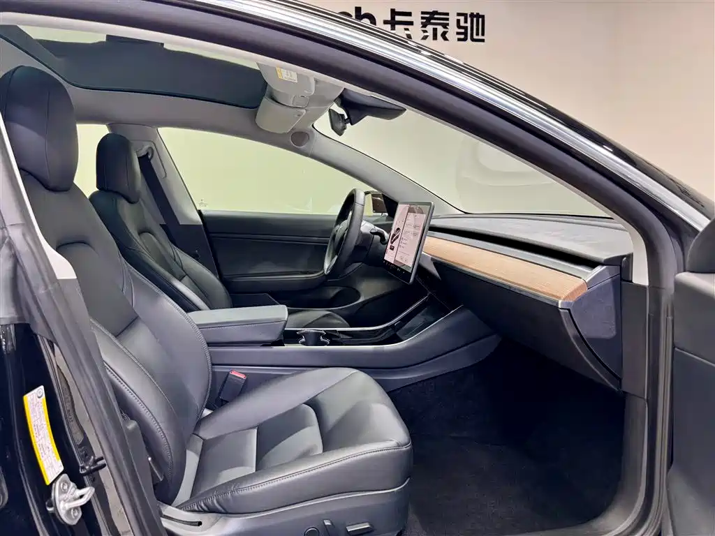 Model 3 2020 Standard Range Plus RWD