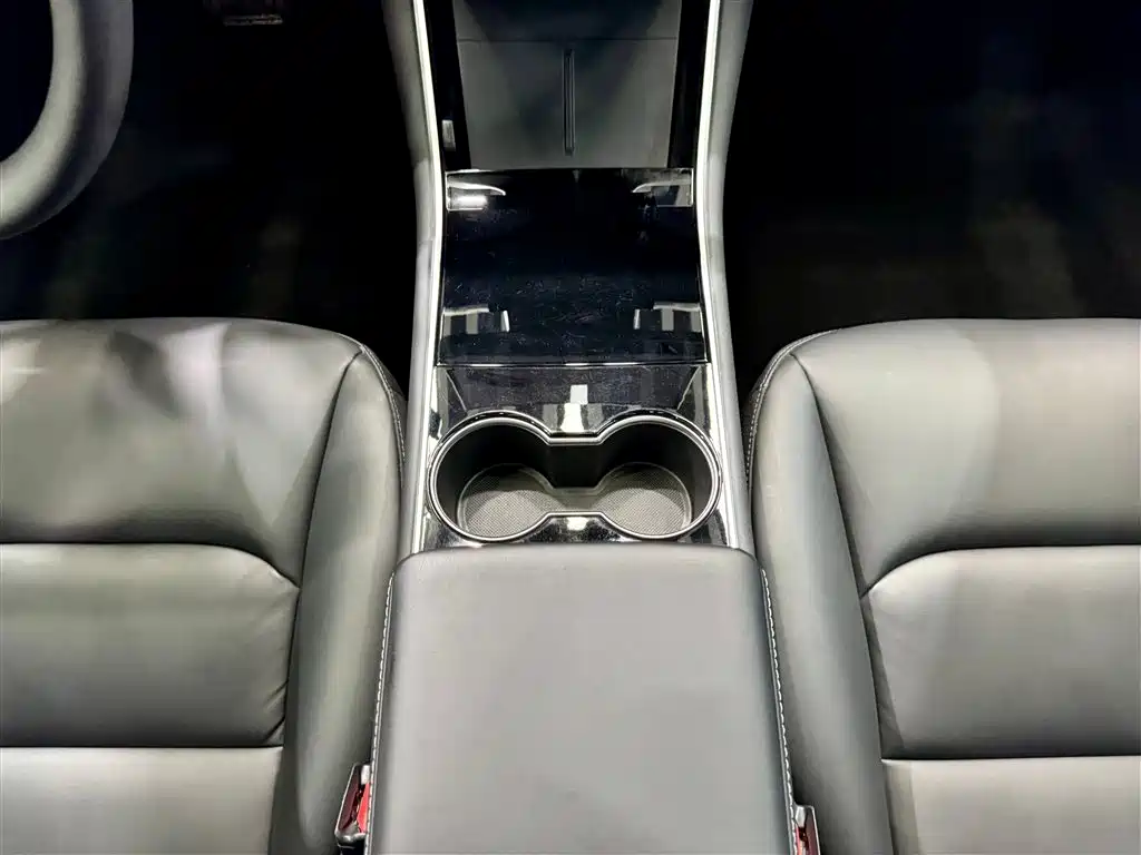 Model 3 2020 Standard Range Plus RWD