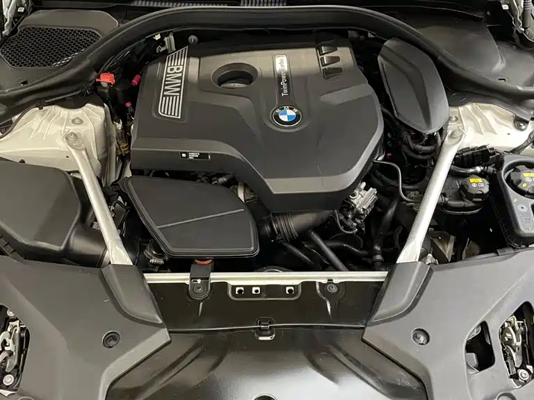 BMW 5 Series 2020 530Li xDrive Luxury Package