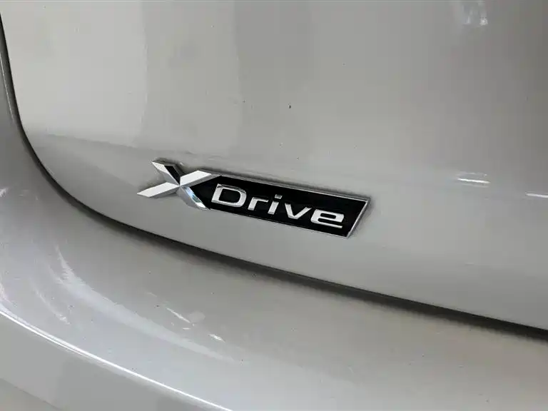 BMW 5 Series 2020 530Li xDrive Luxury Package