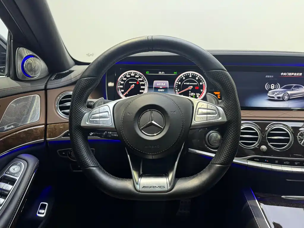 Mercedes-Benz S-Class AMG 2014 AMG S 65 L