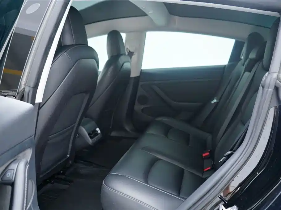 Model 3 2022 Rear-Wheel Drive