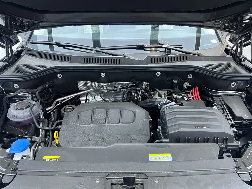 Tavendor 2025 330TSI Luxury Edition