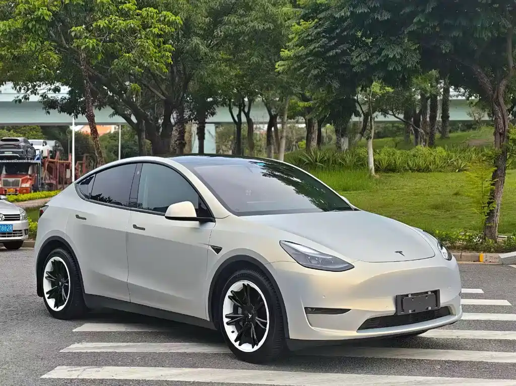 Model Y 2021 Standard Range RWD