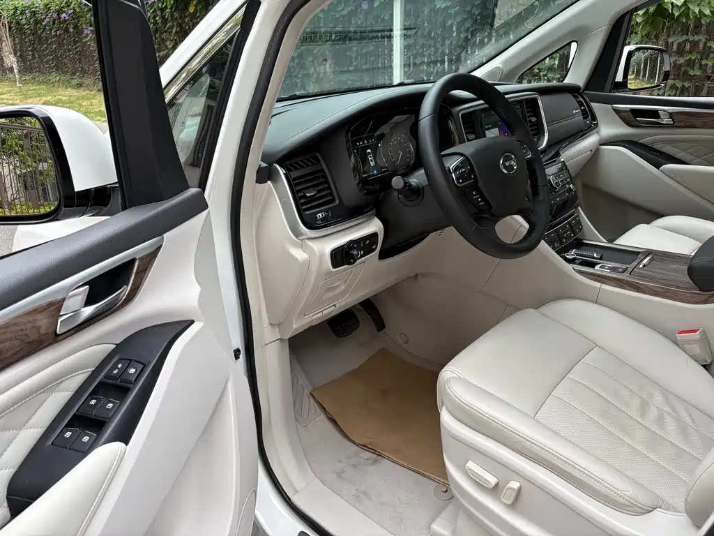 GAC Trumpchi M8 2020 390T Prestige Edition