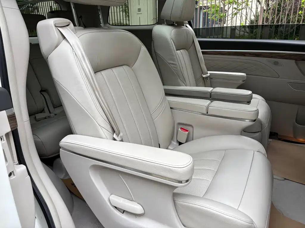 GAC Trumpchi M8 2020 390T Prestige Edition