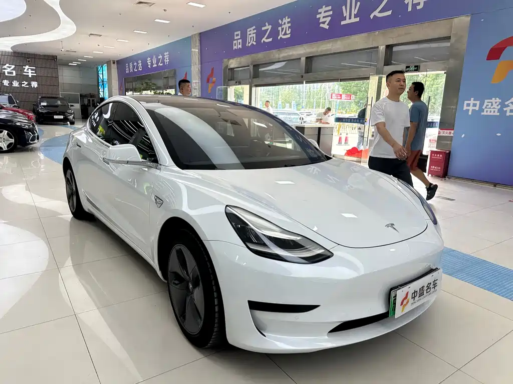 Model 3 2019 Standard Range Plus RWD