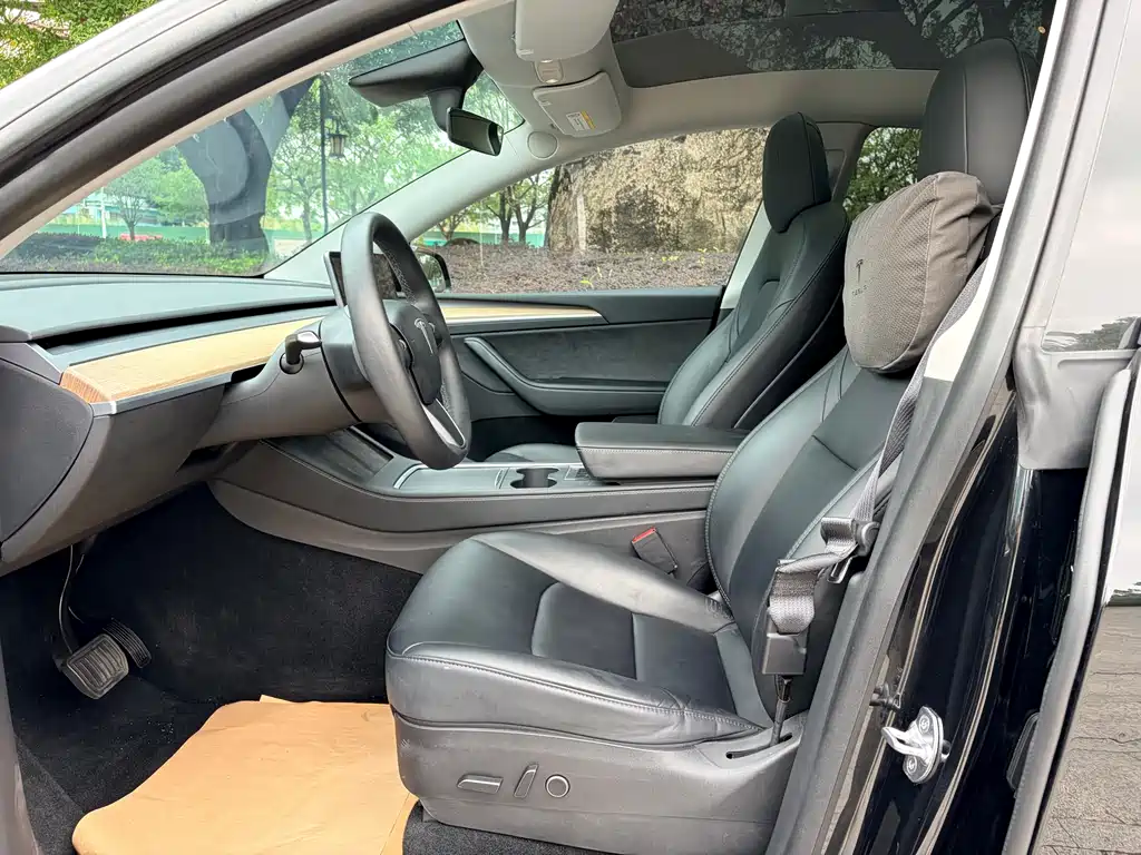 Model Y 2021 Standard Range Rear-Wheel Drive Edition