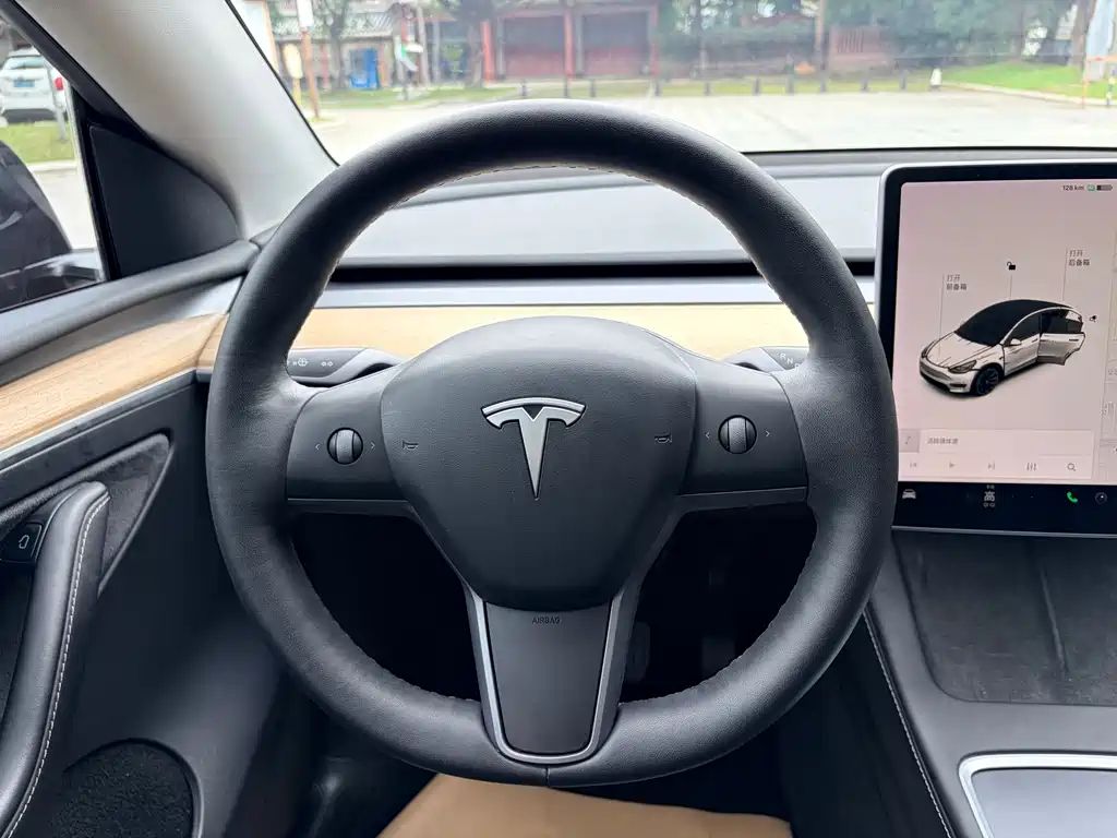 Model Y 2021 Standard Range Rear-Wheel Drive Edition