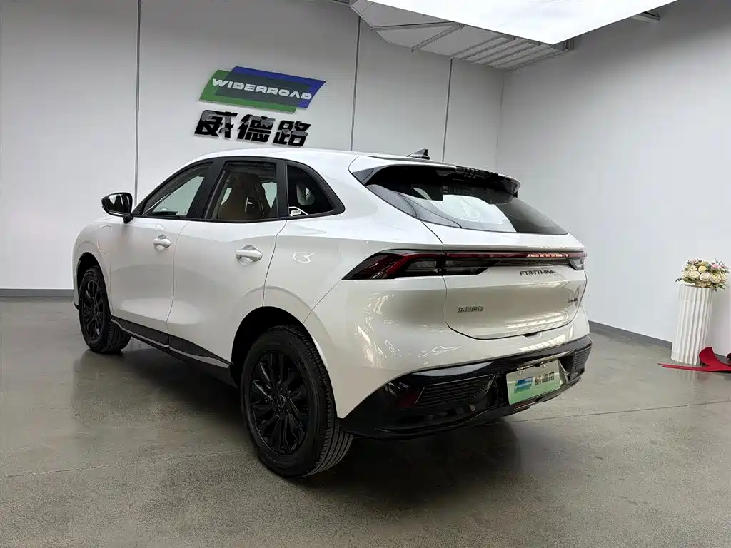 Dongfeng Forthing T5 2026 530km Prestige Edition