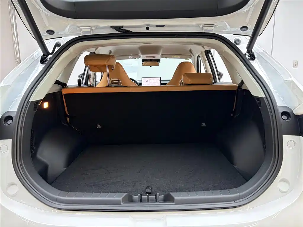 Dongfeng Forthing T5 2026 530km Prestige Edition