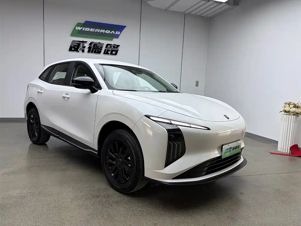 Dongfeng Forthing T5 2026 530km Prestige Edition