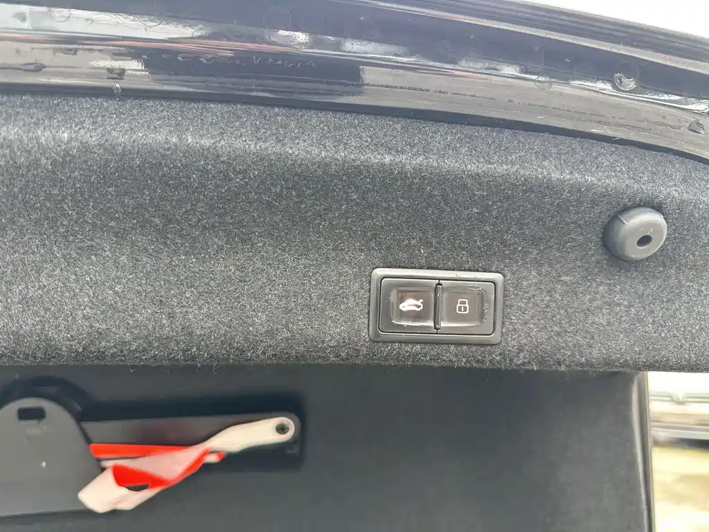 Volkswagen Magotan 2020 330TSI DSG Leading