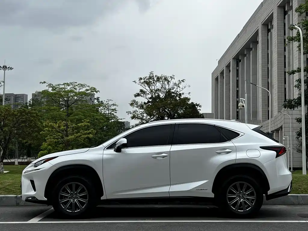 Lexus NX 2020 300h FWD F Sport China V