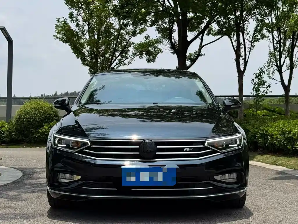 Volkswagen Magotan 2020 330TSI DSG Leading