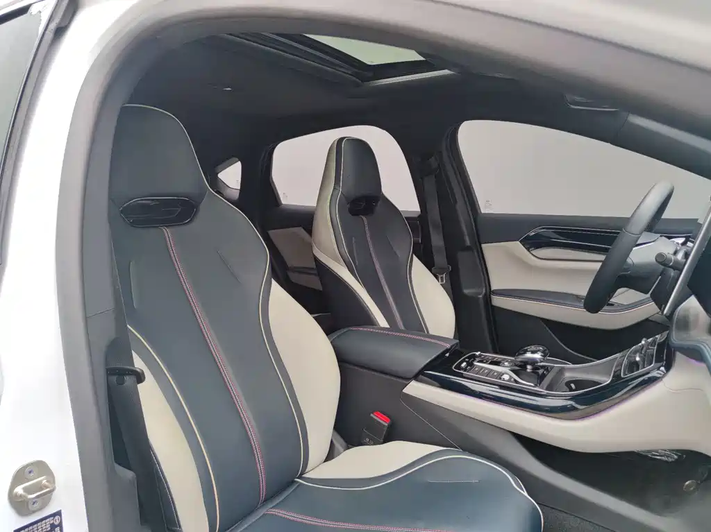 BYD Qin PLUS EV 500KM Prestige Edition 2021