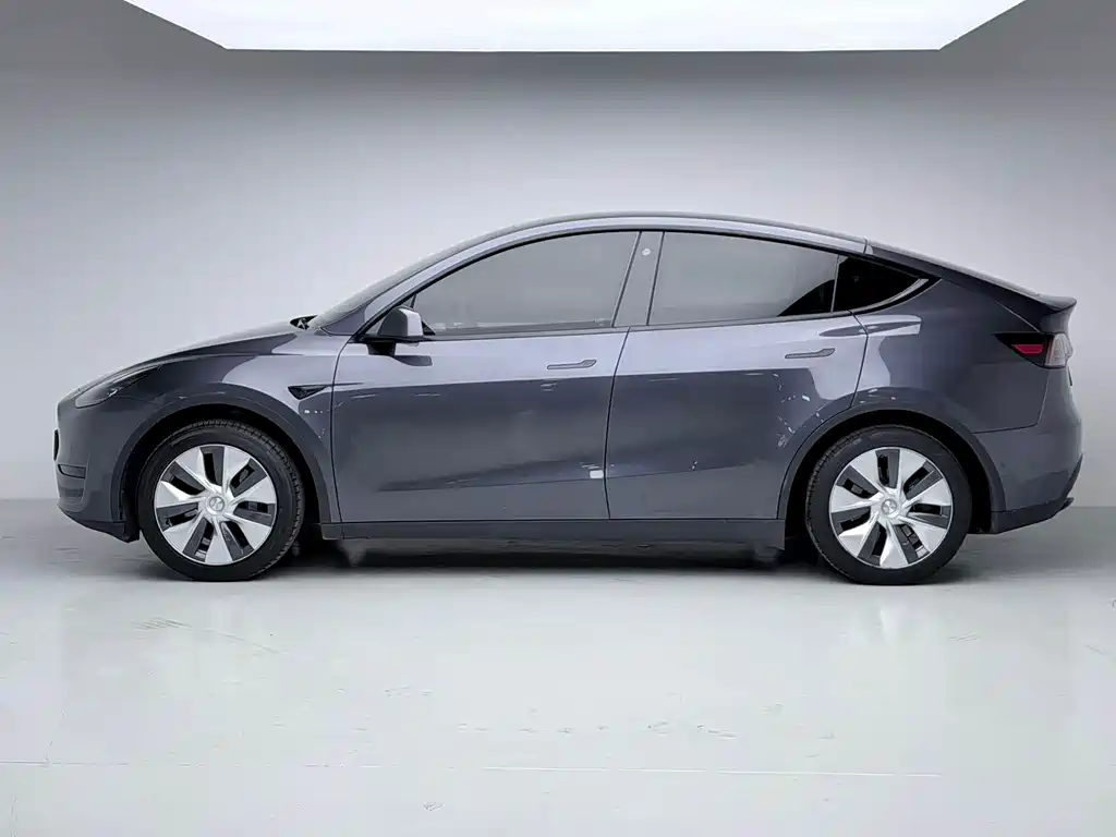 Model Y 2022 Rear-Wheel Drive Version