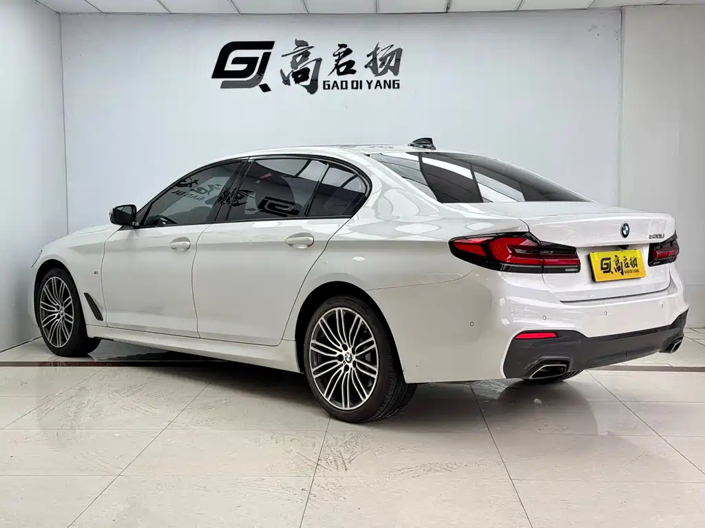 BMW 5 Series 2019 530Li M Sport
