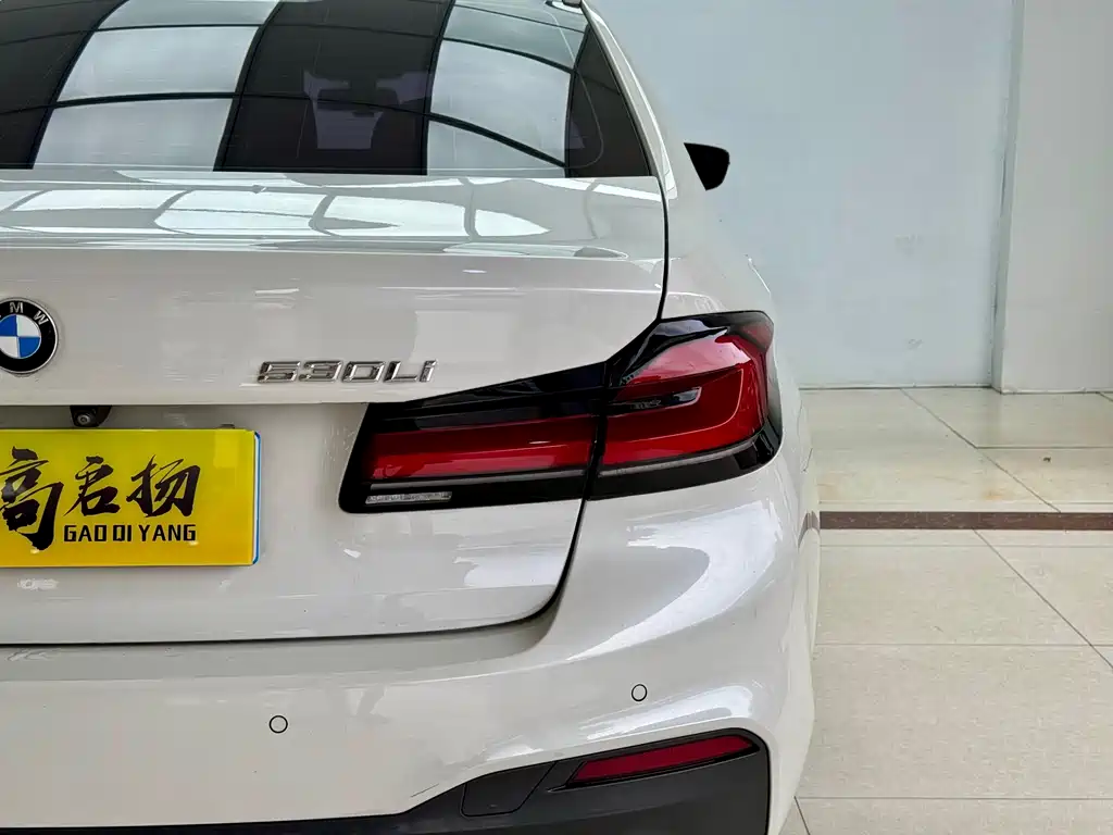 BMW 5 Series 2019 530Li M Sport