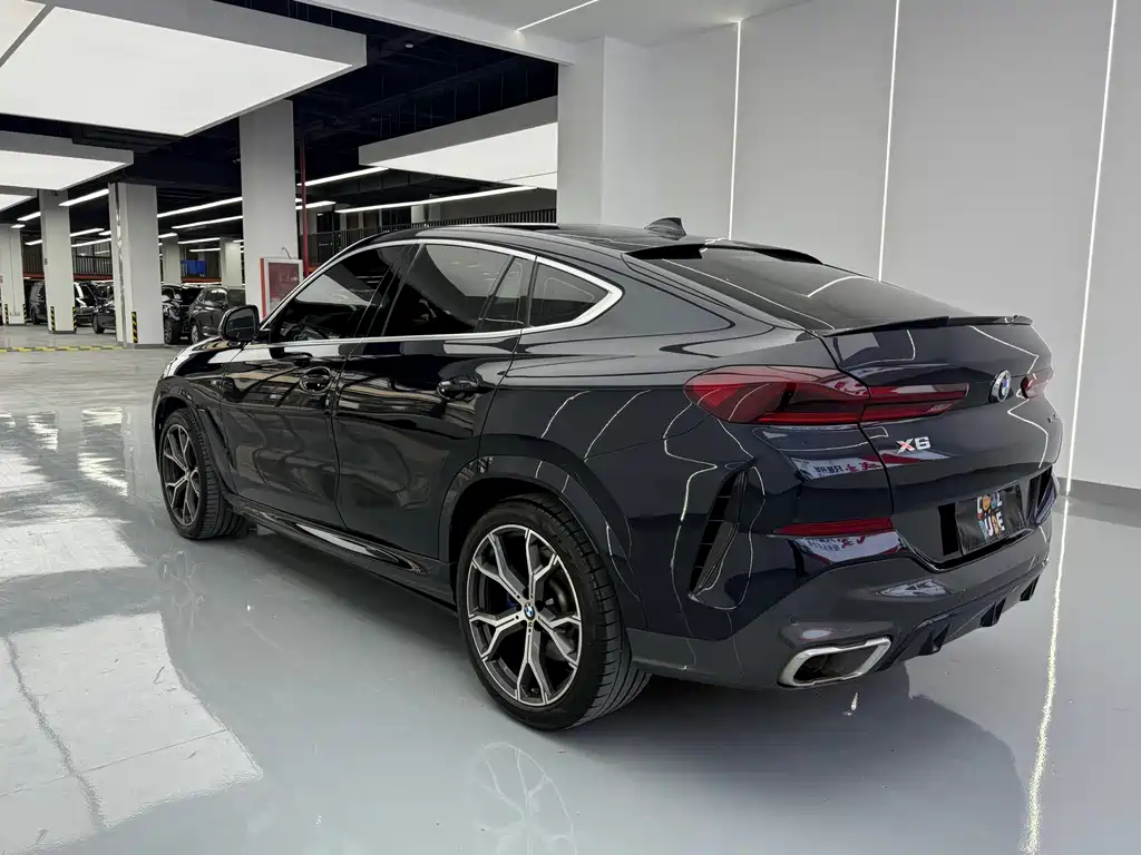 BMW X6 2021 xDrive40i Luxury M Sport Package
