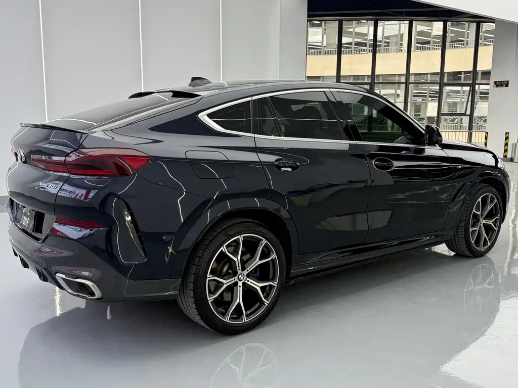 BMW X6 2021 xDrive40i Luxury M Sport Package