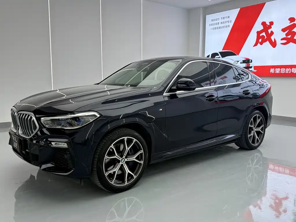 BMW X6 2021 xDrive40i Luxury M Sport Package