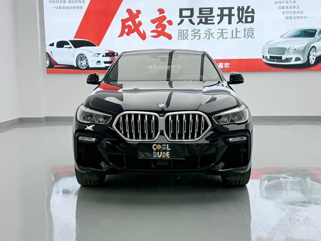 BMW X6 2021 xDrive40i Luxury M Sport Package