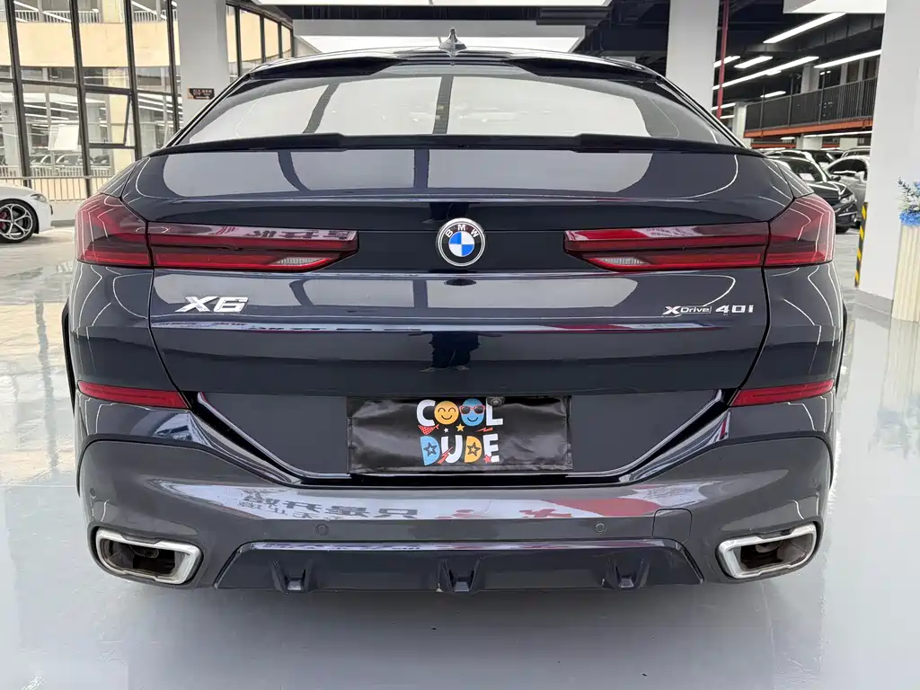 BMW X6 2021 xDrive40i Luxury M Sport Package