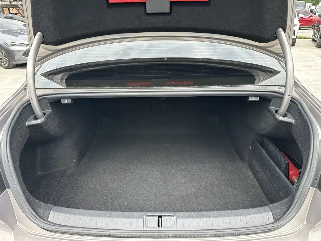Volkswagen Magotan 2020 330TSI DSG Luxury