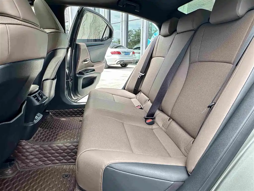 Lexus ES 2021 260 Excellence Edition