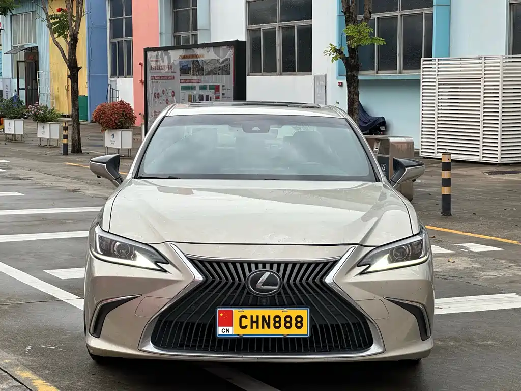 Lexus ES 2018 200 Luxury Edition China V