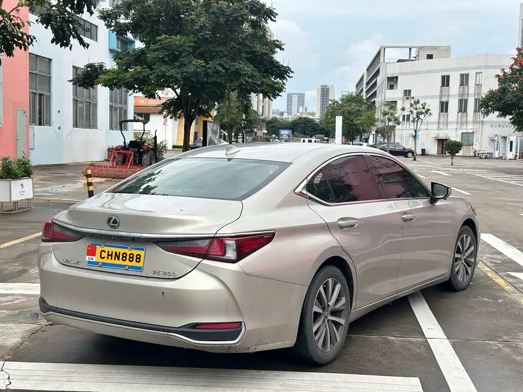 Lexus ES 2018 200 Luxury Edition China V