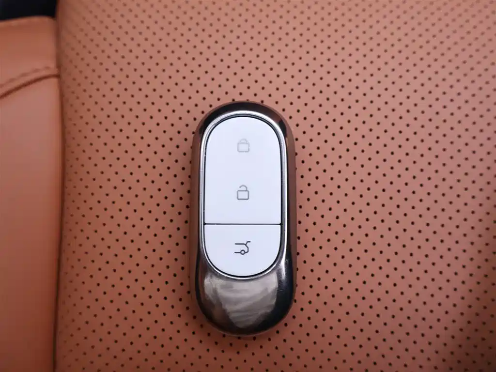 Leapmotor C16 2024 EREV 200 Premium Edition
