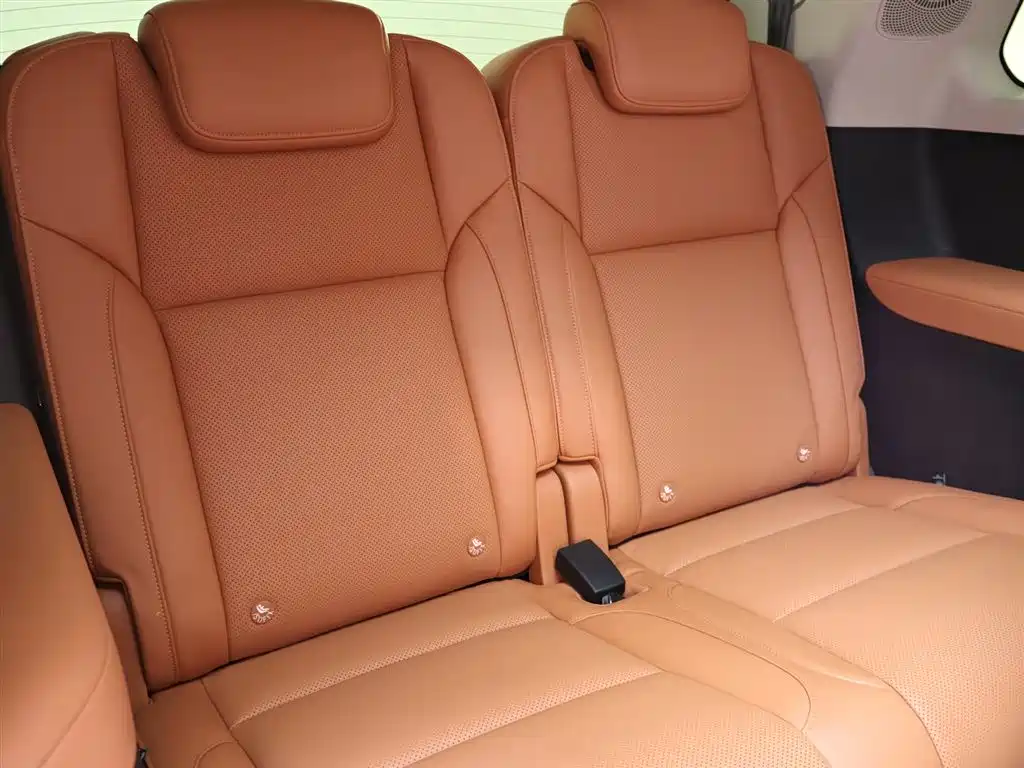 Leapmotor C16 2024 EREV 200 Premium Edition