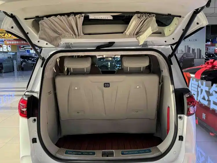 Buick GL8 2021 ES Luxury 653T Comfort