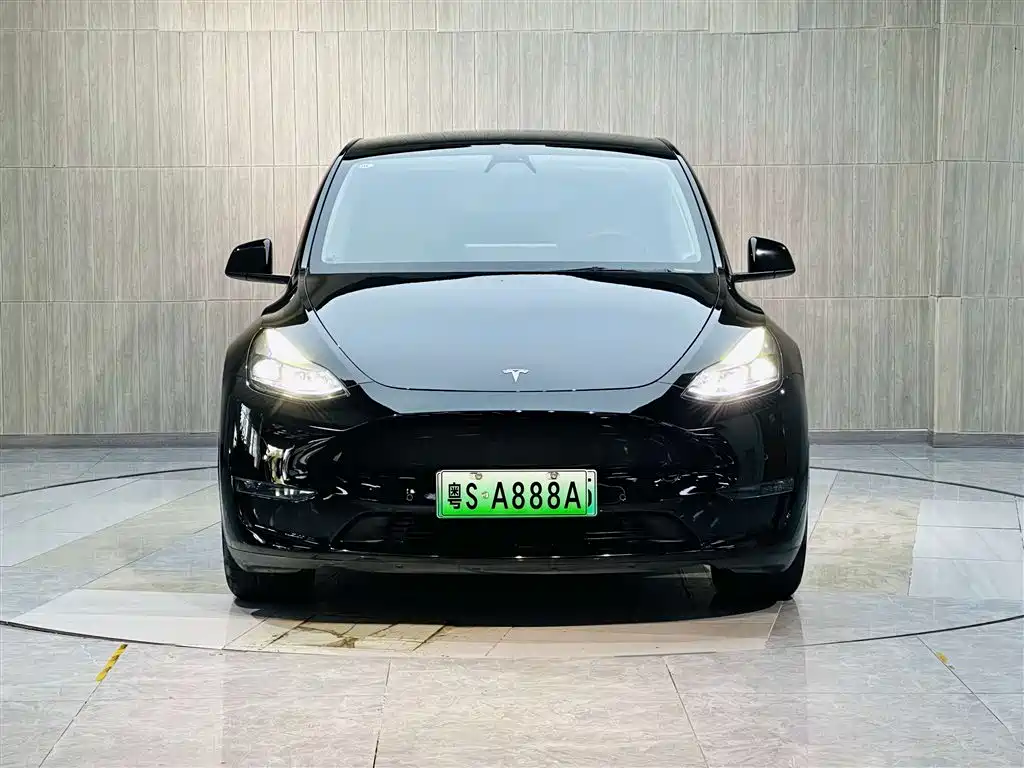 Model Y 2021 Standard Range RWD