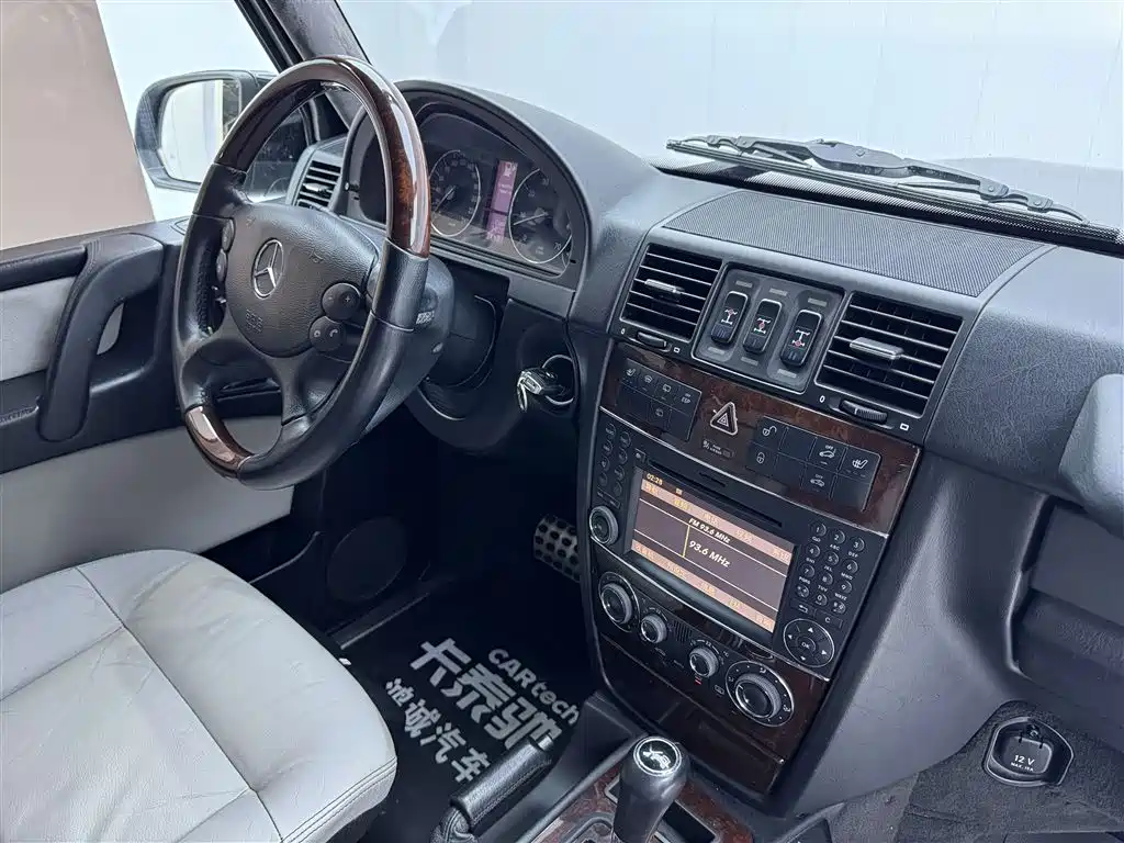 Mercedes-Benz G-Class 2010 G 500
