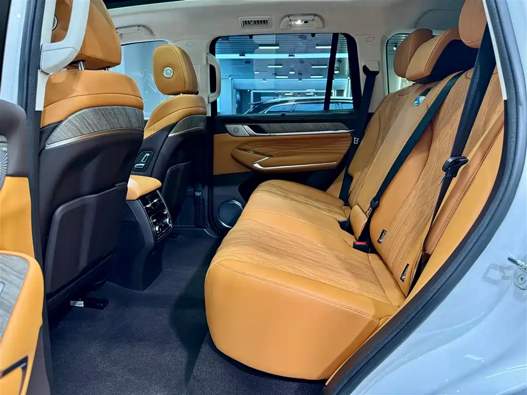 Tank 500 2022 3.0T Business Edition Zaojing 5-Seater
