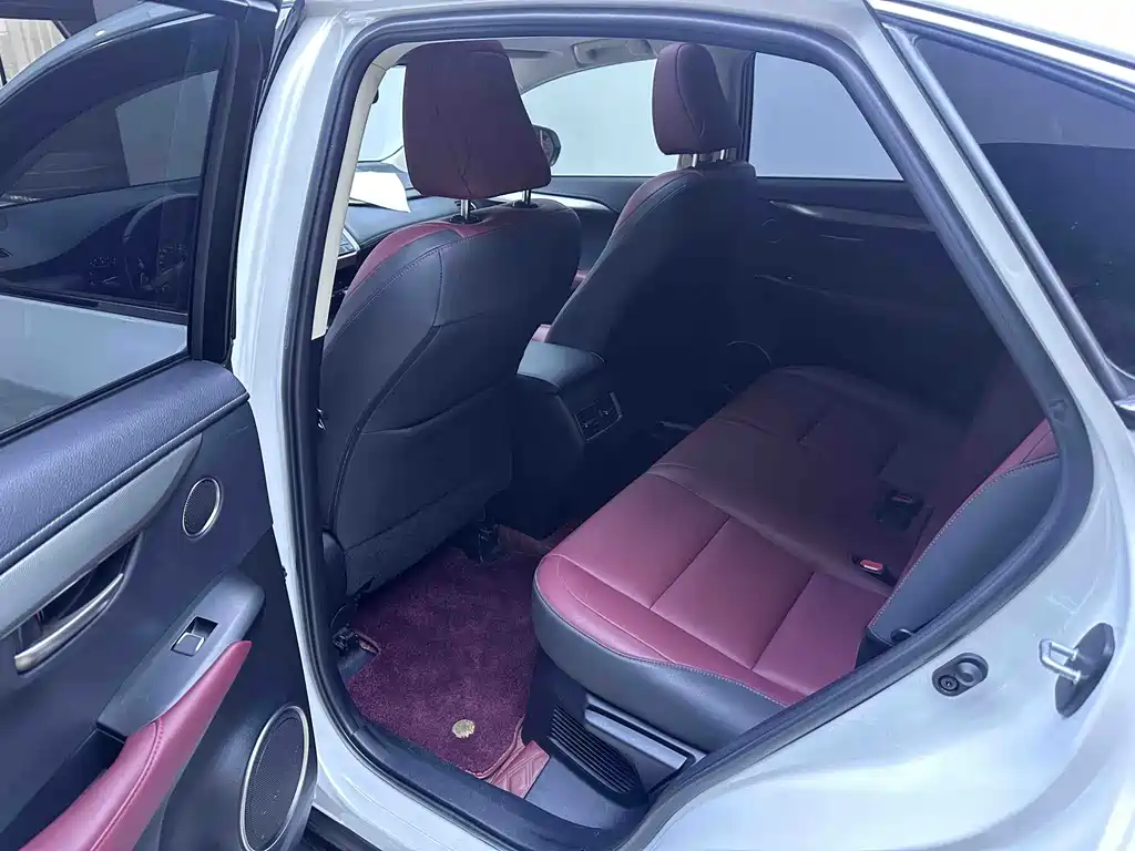 Lexus NX 2020 200 AWD F Sport