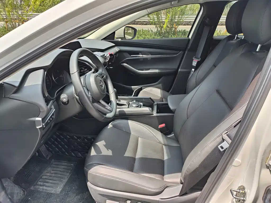Mazda 3 Axela 2023 2.0L Automatic Zhi Zhen Edition
