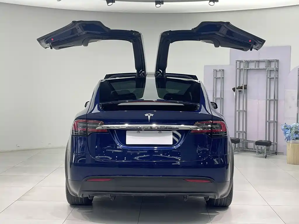 Tesla Model X 2017 100D Long Range