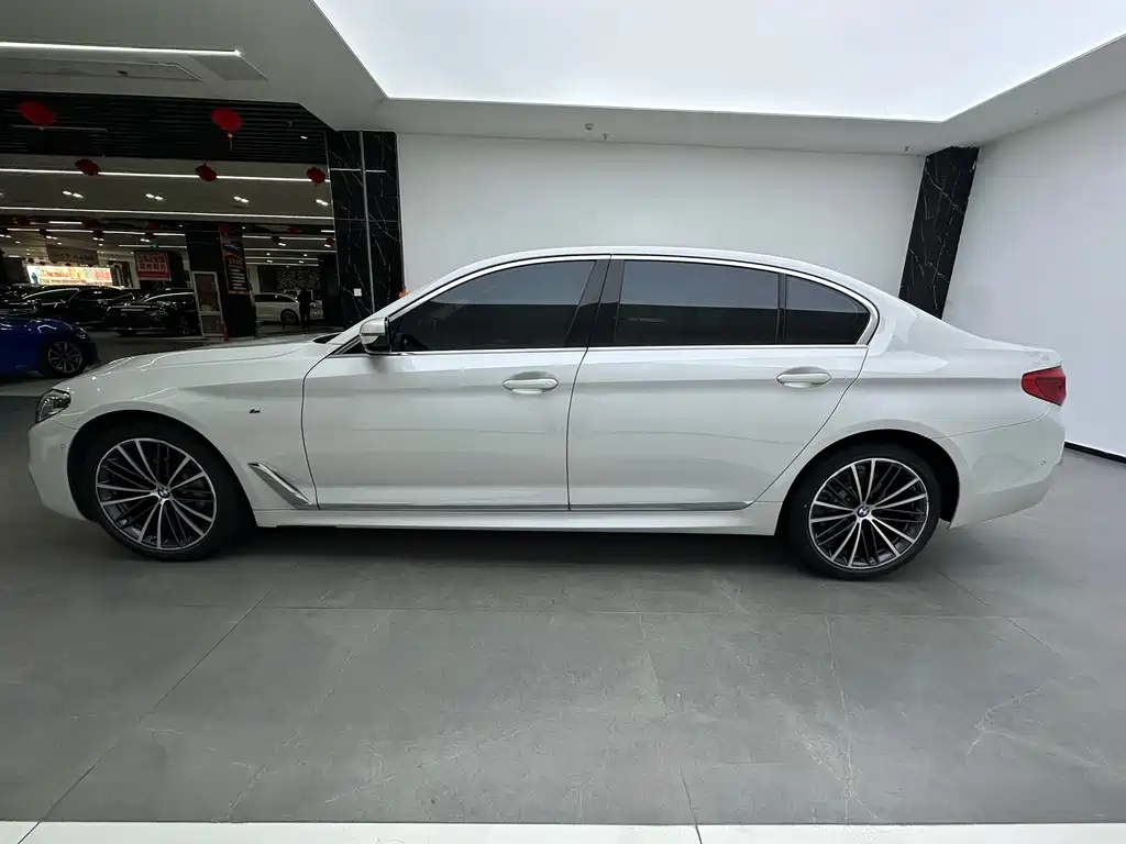 BMW 5 Series 2020 530Li Leading Model M Sport Package