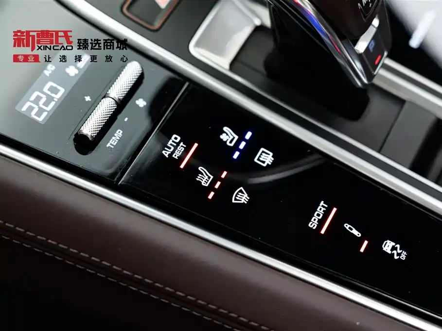 Panamera 2020 Panamera 10th Anniversary Edition 2.9T
