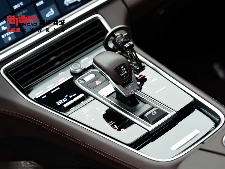 Panamera 2020 Panamera 10th Anniversary Edition 2.9T