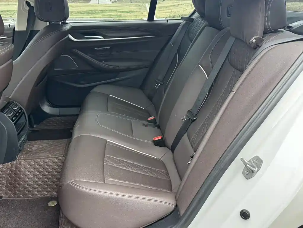 BMW 5 Series 2023 530Li Leading Edition Luxury Package